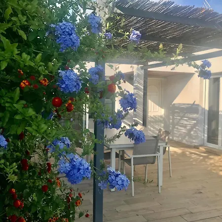 Le Gabanon Piscine Et 1ere Etang Villa Sète